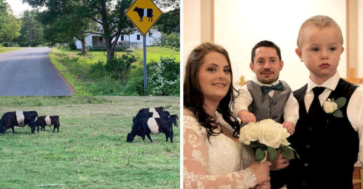 17 foto di persone che hanno un gran senso dell’umorismo