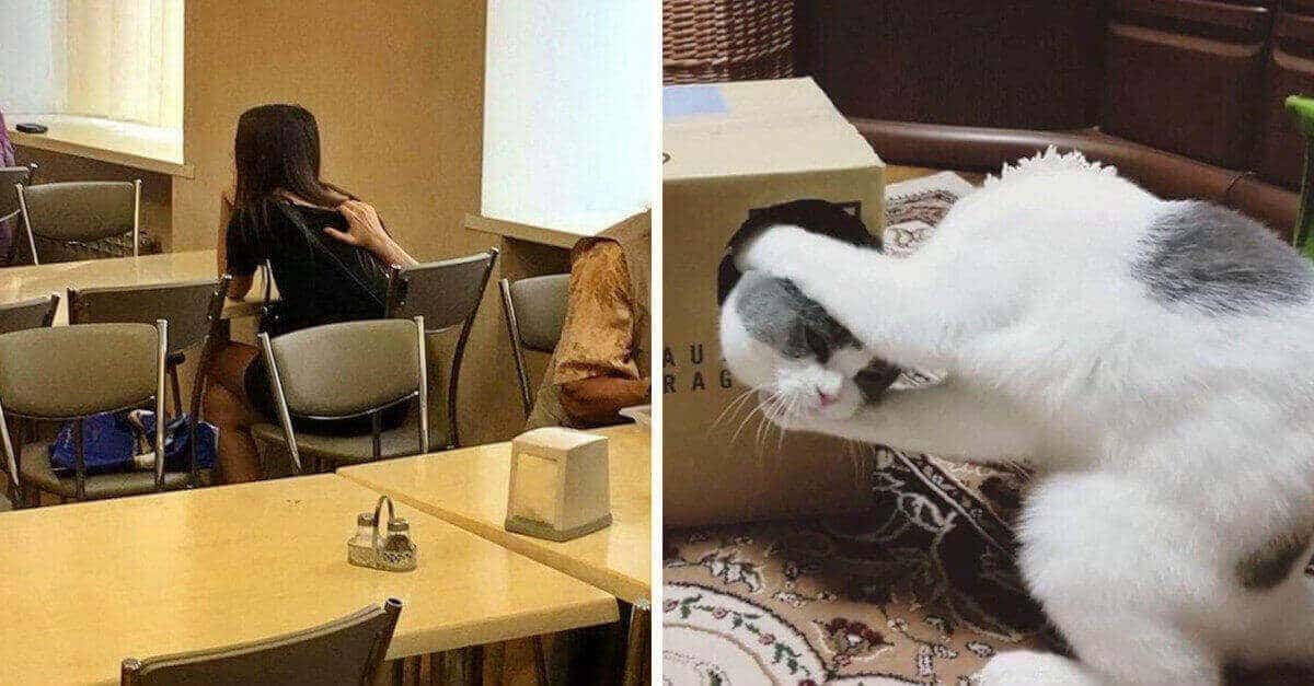 18 foto che dimostrano come il tempismo possono creare veri capolavori