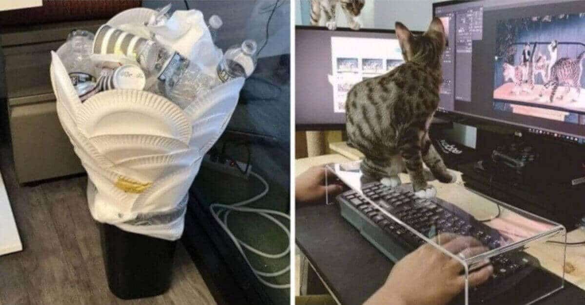 17 persone che hanno usato metodi alquanto creativi per risolvere i propri problemi