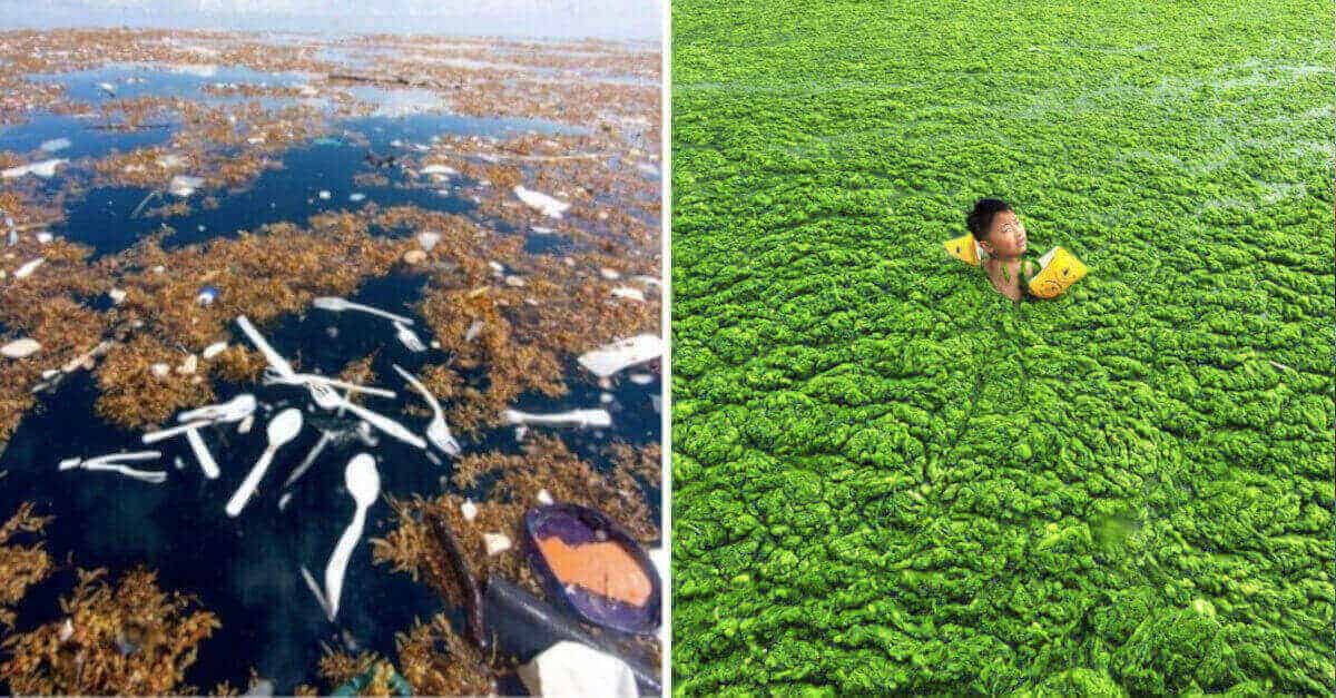 10 foto che dimostrano che dobbiamo agire subito contro l’inquinamento