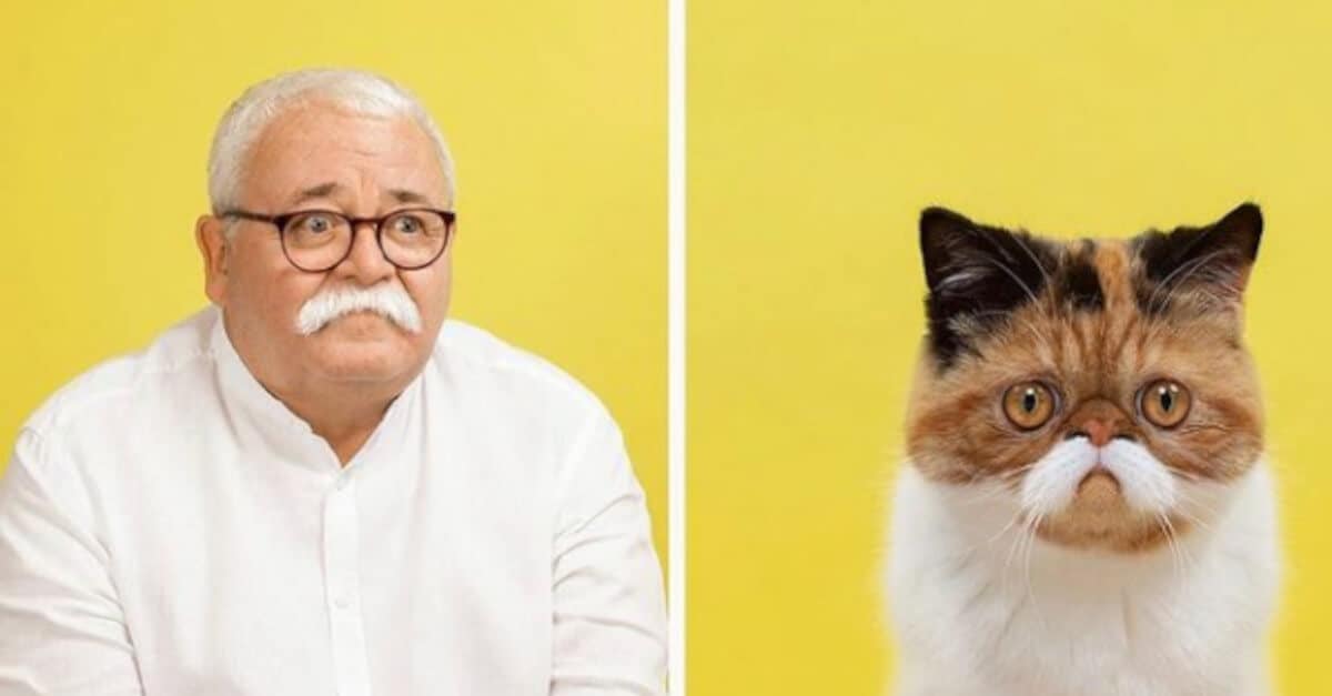 Il fotografo che mostra l’incredibile somiglianza tra gatti e persone