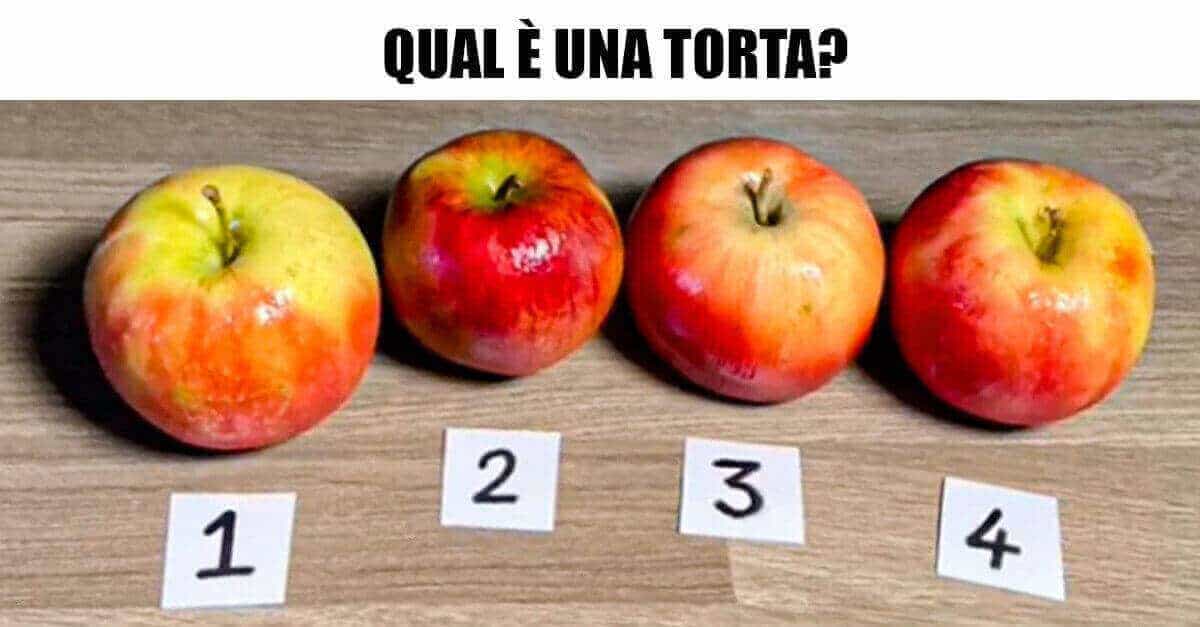 14 Foto in cui si nascondono delle torte tra gli oggetti veri