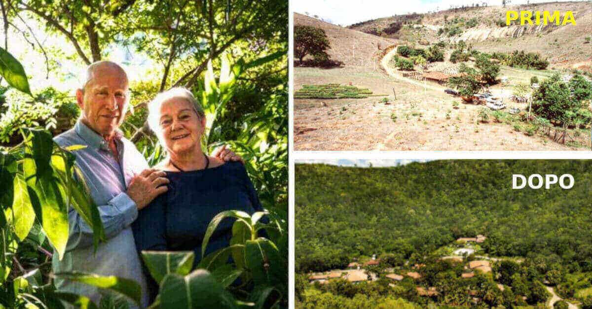 La coppia trasforma il deserto in una foresta della vita, piantando più di 2 milioni di alberi
