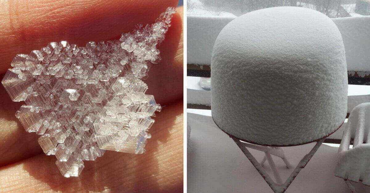 20 foto in cui è possibile ammirare le opere più particolari della neve