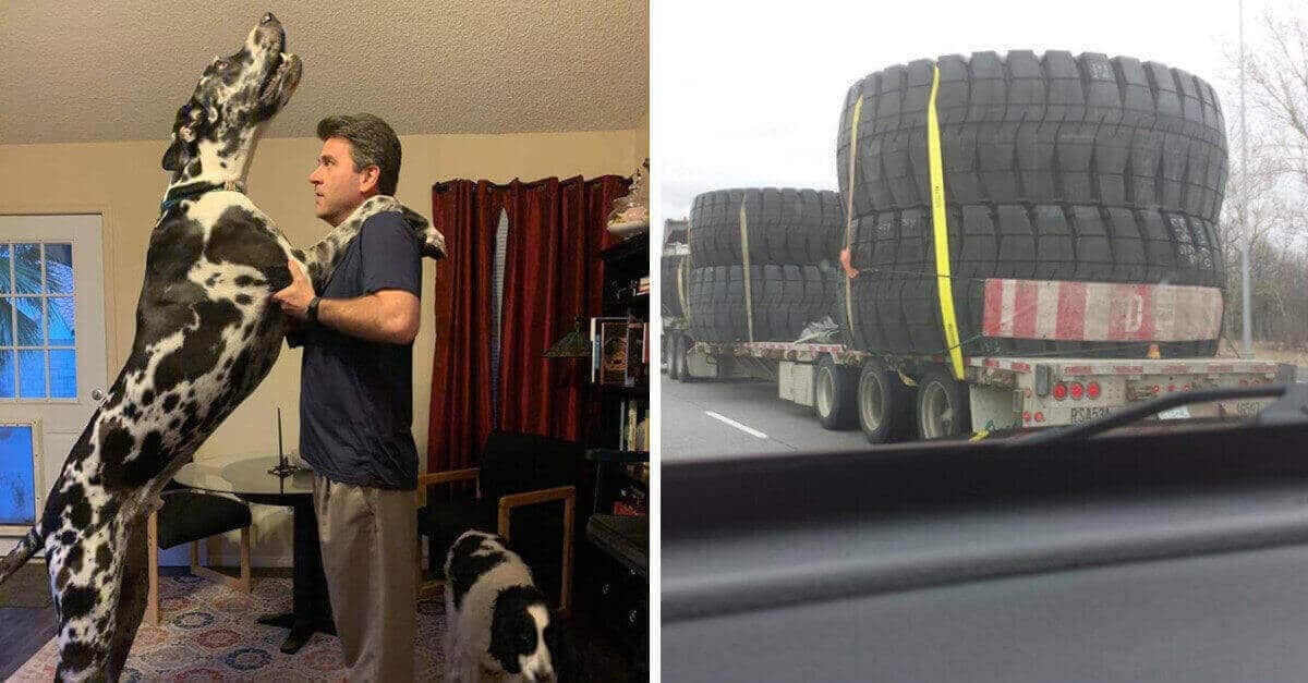 18 foto per vedere le diverse dimensioni di ciò che costituisce il mondo