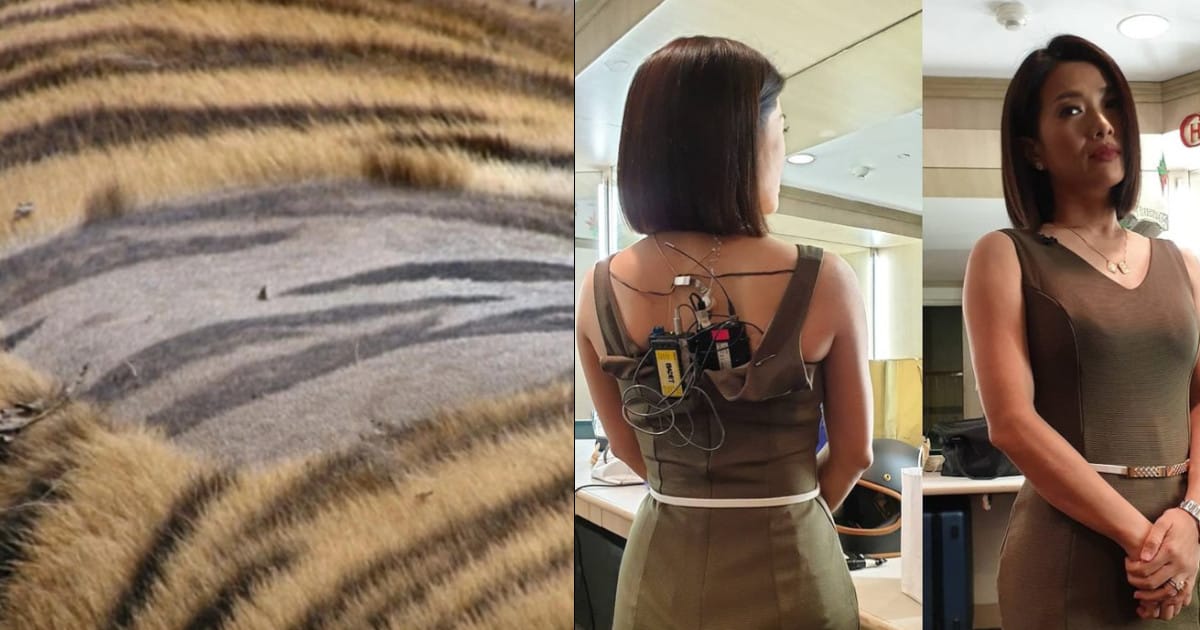 15 foto di cose rare che rivelano cose che sennò rimarrebbero nascoste