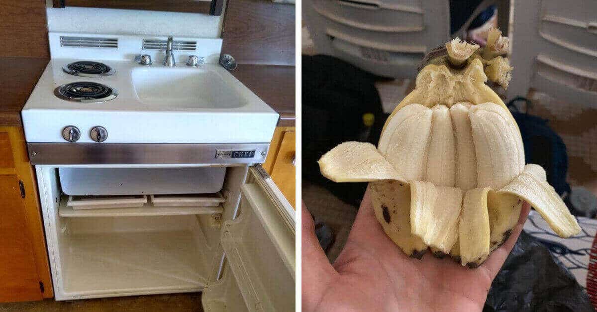 14 foto che sorprendono anche chi pensa di aver visto tutto