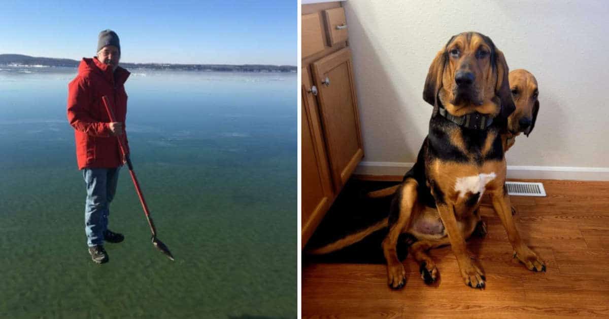 13 Foto con angolazioni talmente particolari da confondere chiunque