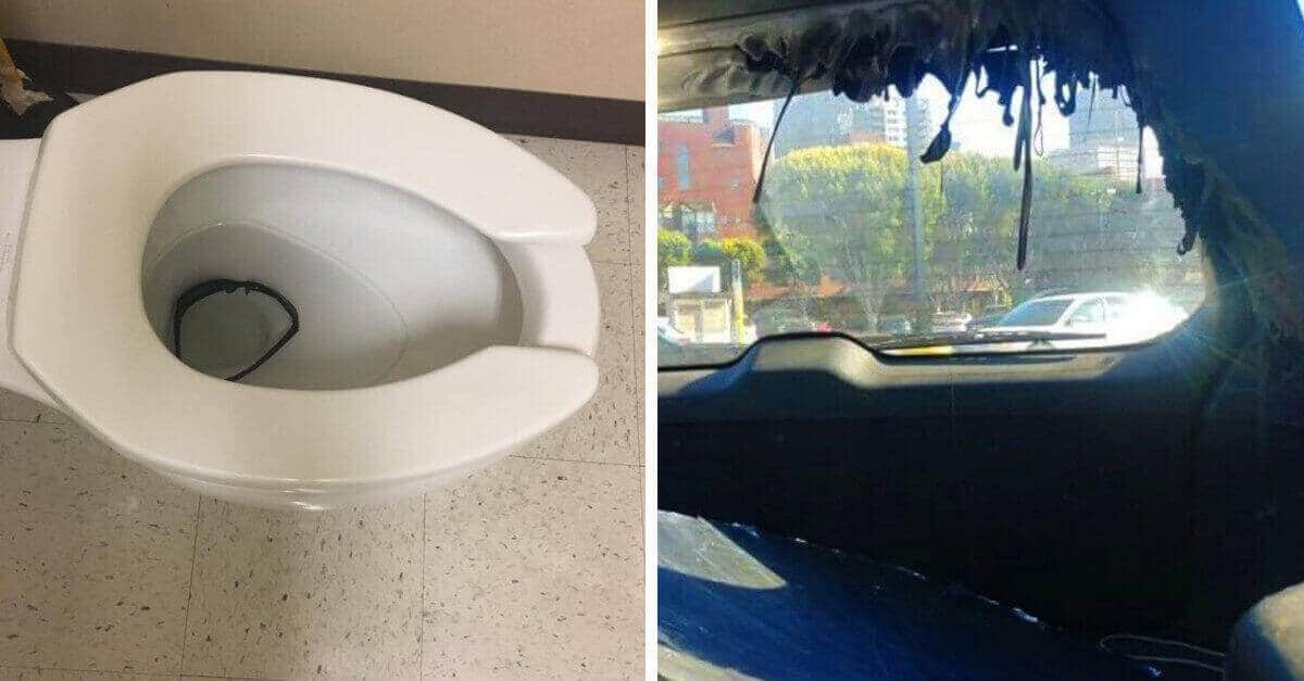 Quando è la giornata storta! Più di 22 volte in cui le persone si sono trovate in situazioni disastrose