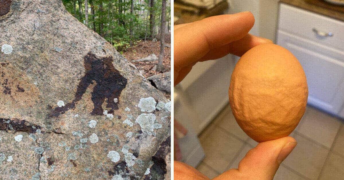 19 situazioni in cui si sono create fantastiche illusioni ottiche