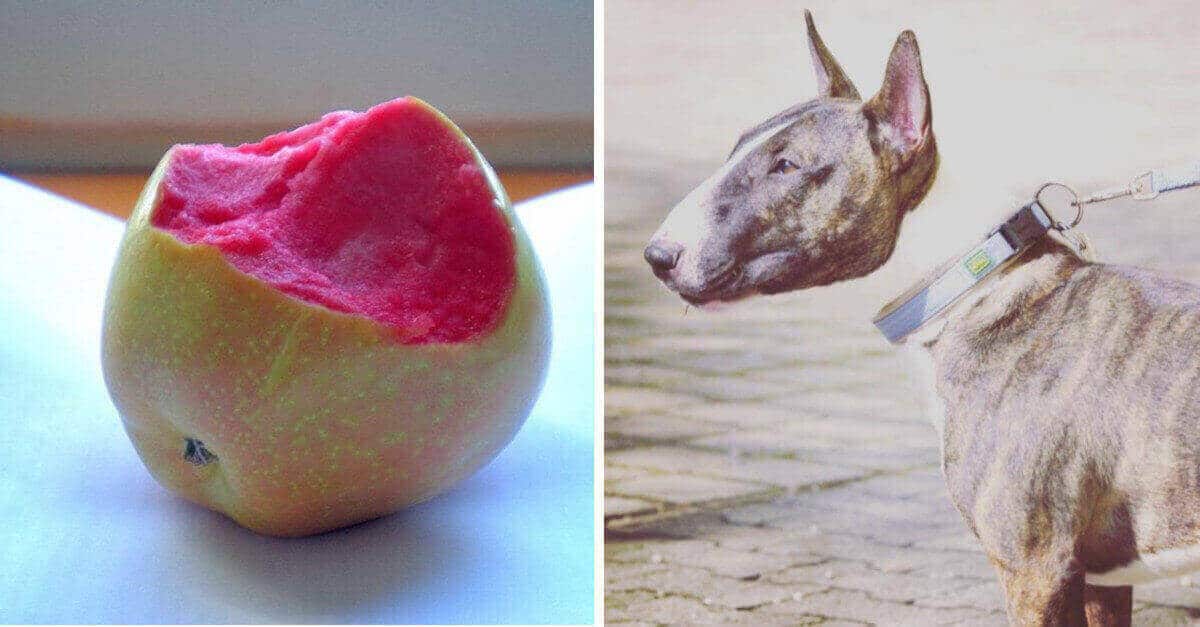 15 Foto che non sono state photoshoppate, anche se è davvero difficile da credere