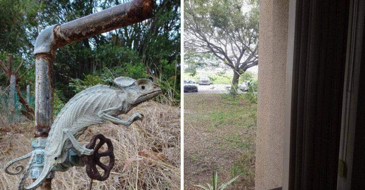 20 foto che illustrano come la natura possa rivelarsi spaventosa