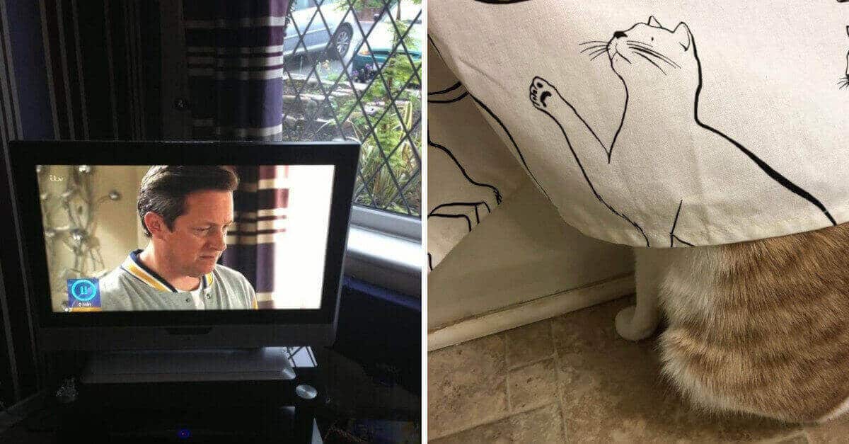 14 Foto che illustrano rare coincidenze