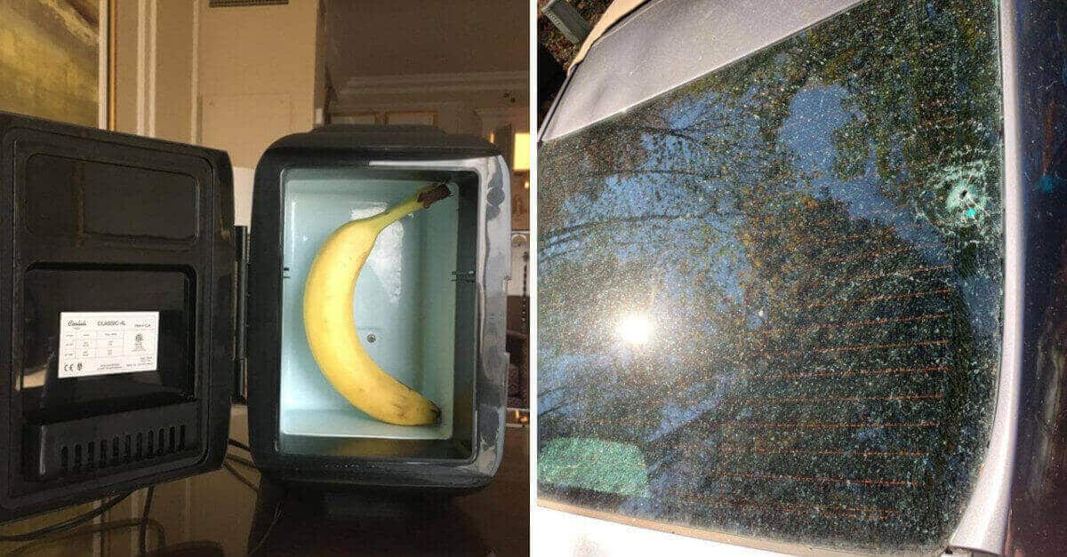 15 persone che hanno avuto strani incidenti durante le vacanze