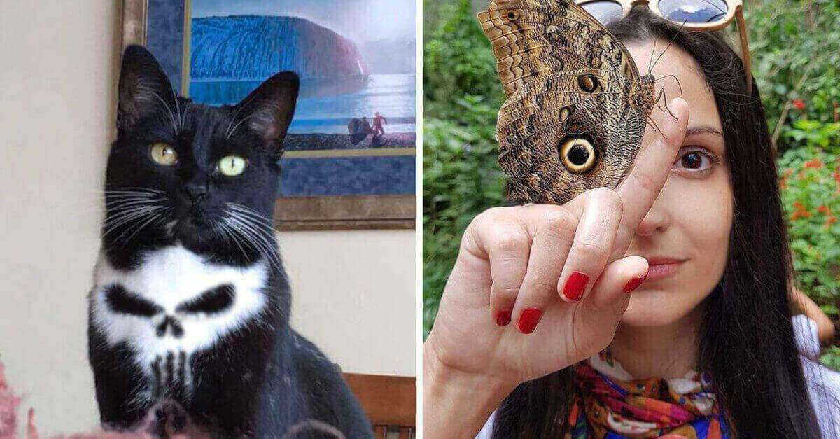 19 Foto che mostrano come la natura a volte decida di dare alle sue creazioni un tocco di bellezza in più