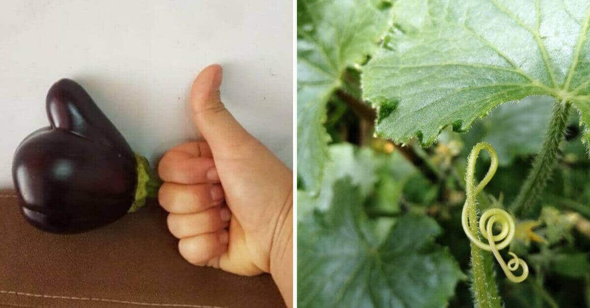 15 situazioni che si incontrano raramente