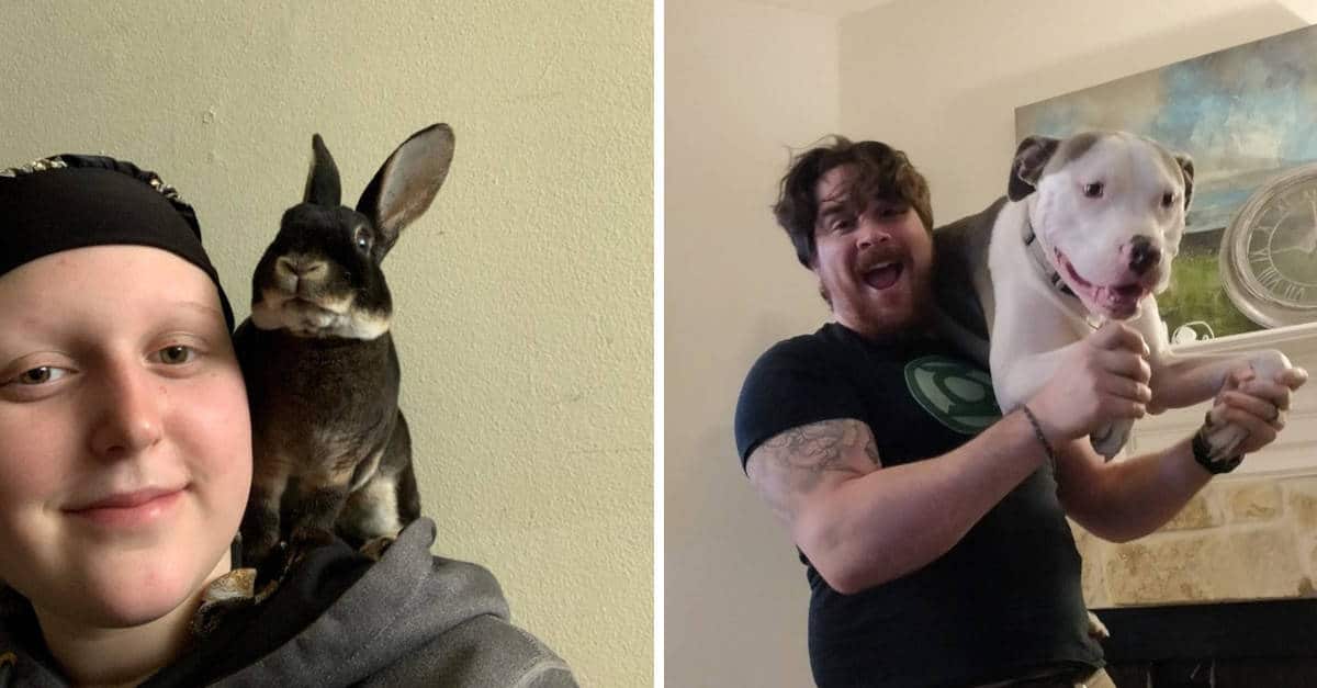 15 persone che hanno pubblicato foto dei loro “animali da spalla”