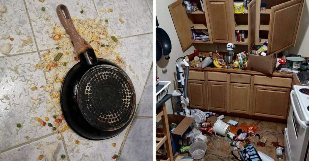 15 Foto di persone che hanno avuto un brutto quarto d’ora