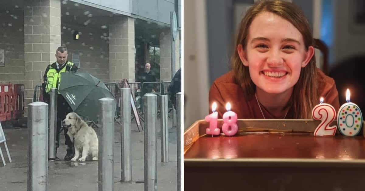 15 immagini toccanti che fanno sorridere