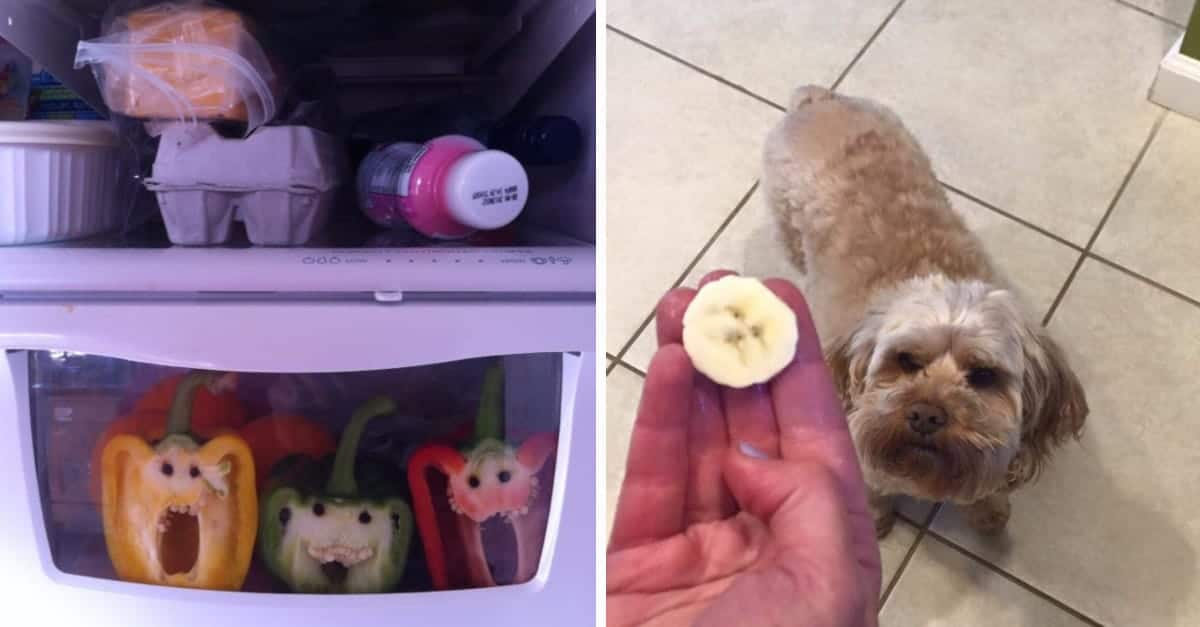 Soffri di Pareidolia? 23 Foto in cui dovresti vedere delle facce