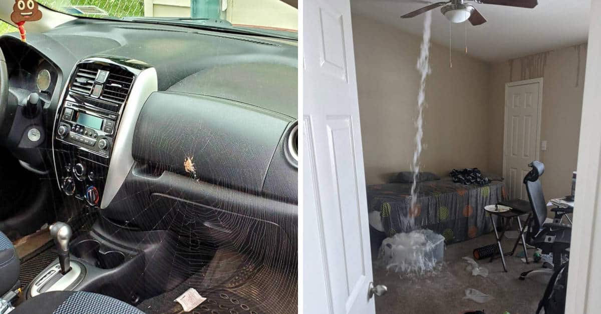 16 persone che stanno passando davvero una brutta giornata