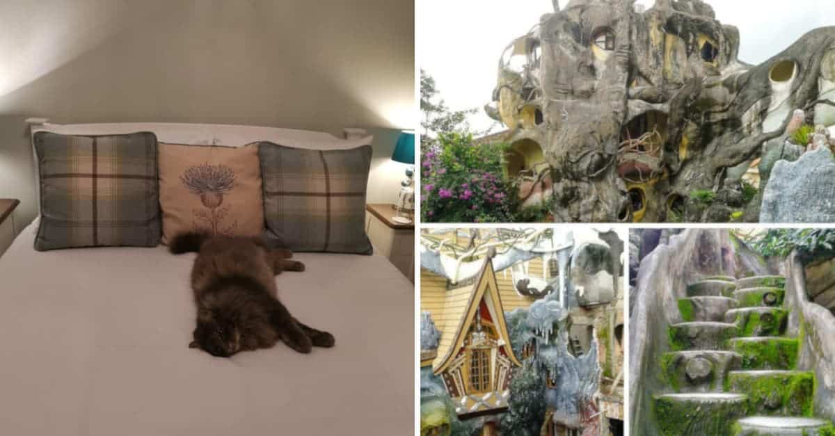 14 foto di hotel che offrono cose originali