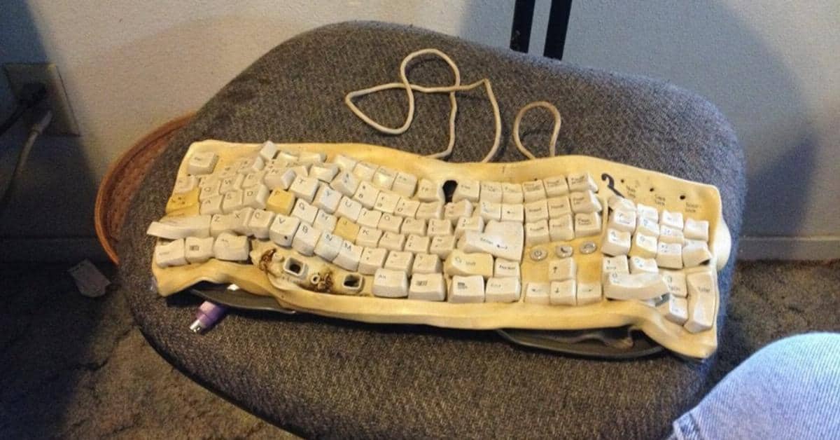 14 foto bizzarre che fanno sorgere un’unica domanda: “Ma perché?”