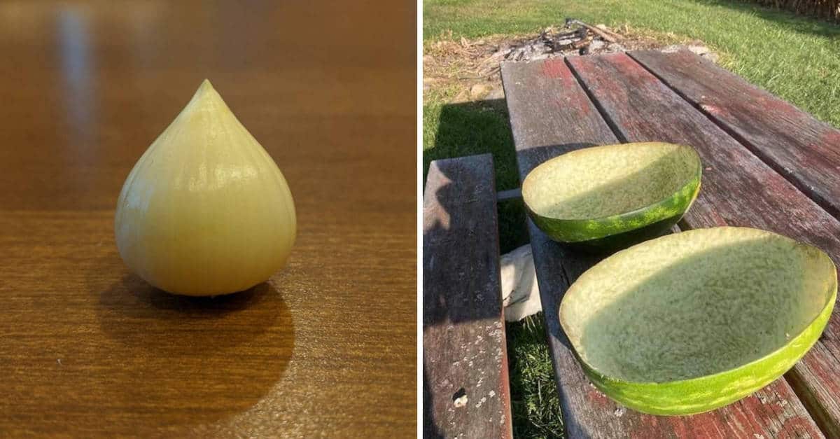 19 foto che mostrano situazioni soddisfacenti per la vista