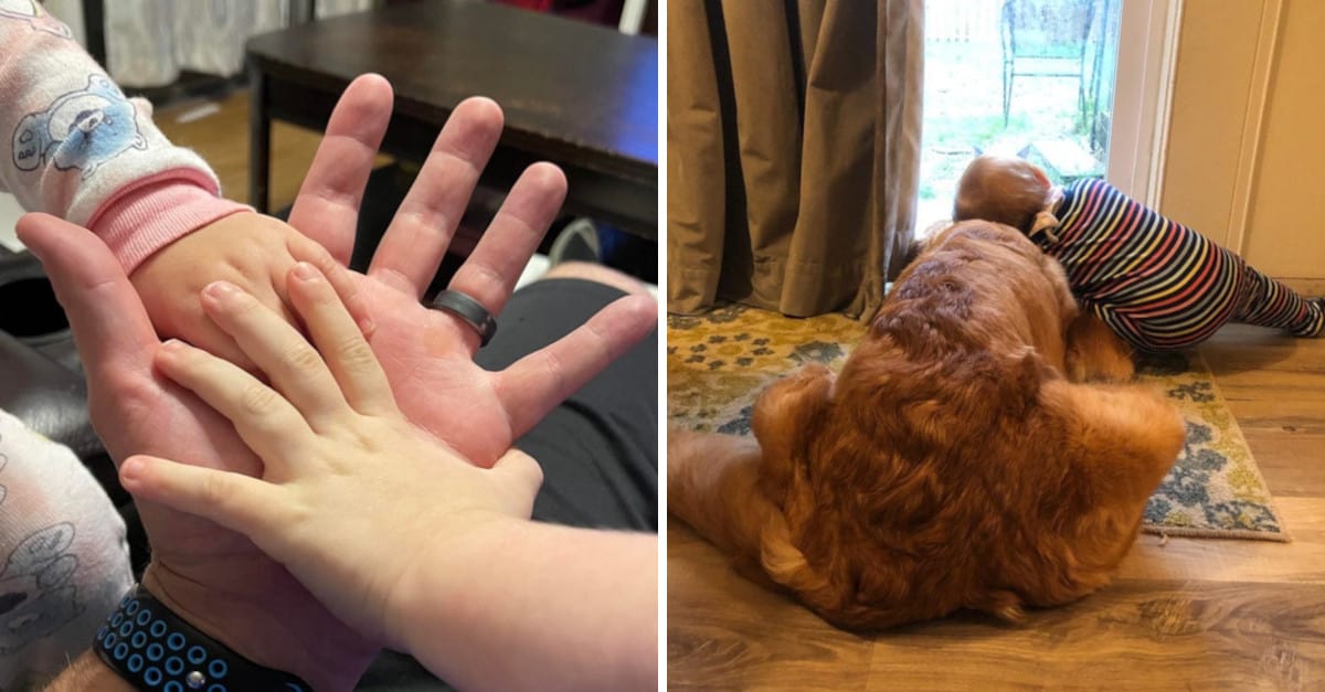 15 foto che illustrano bei ricordi di vita