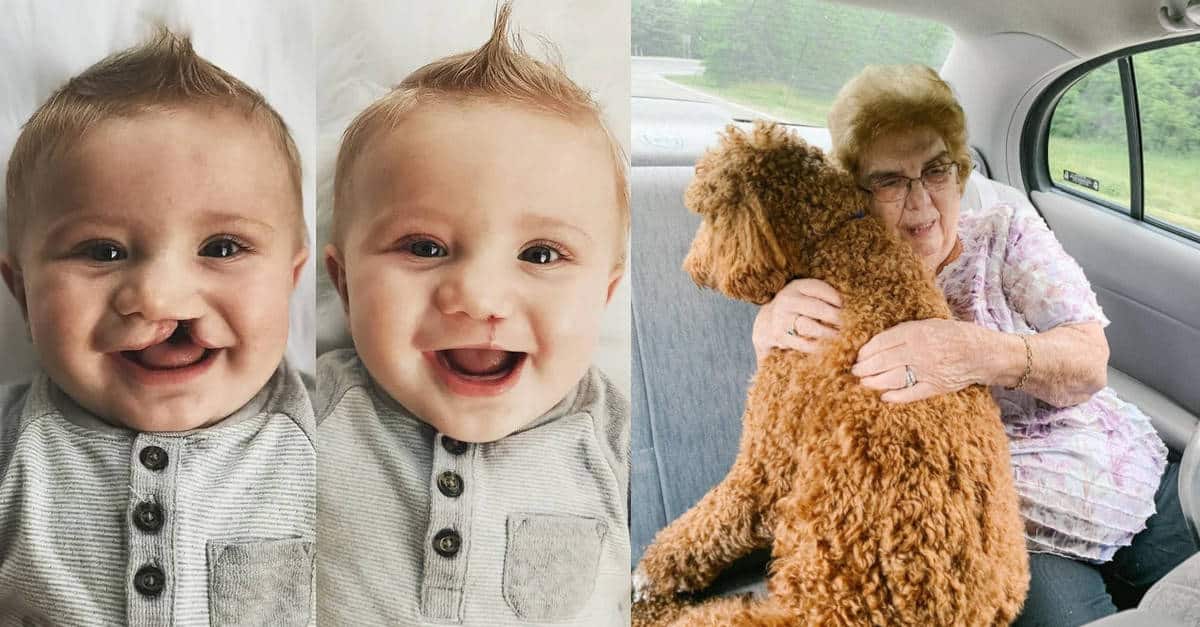 13 Foto che mostrano il lato bello della vita