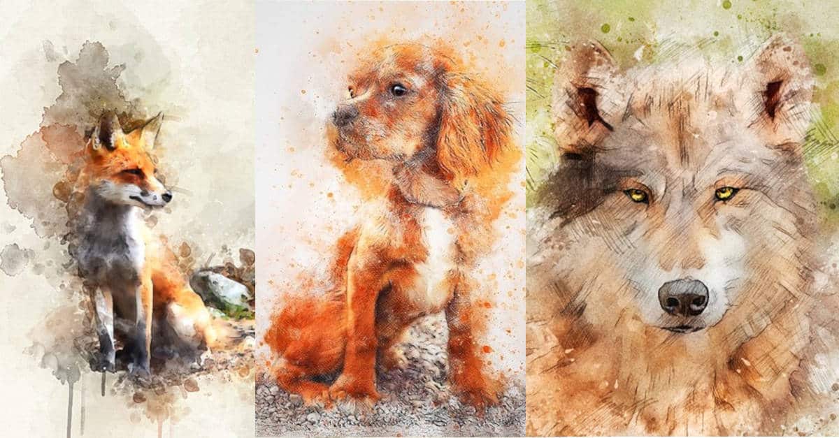 Test: una volpe, un cane o un lupo? Scegli l’animale che più ti piace e conoscerai il tuo vero istinto