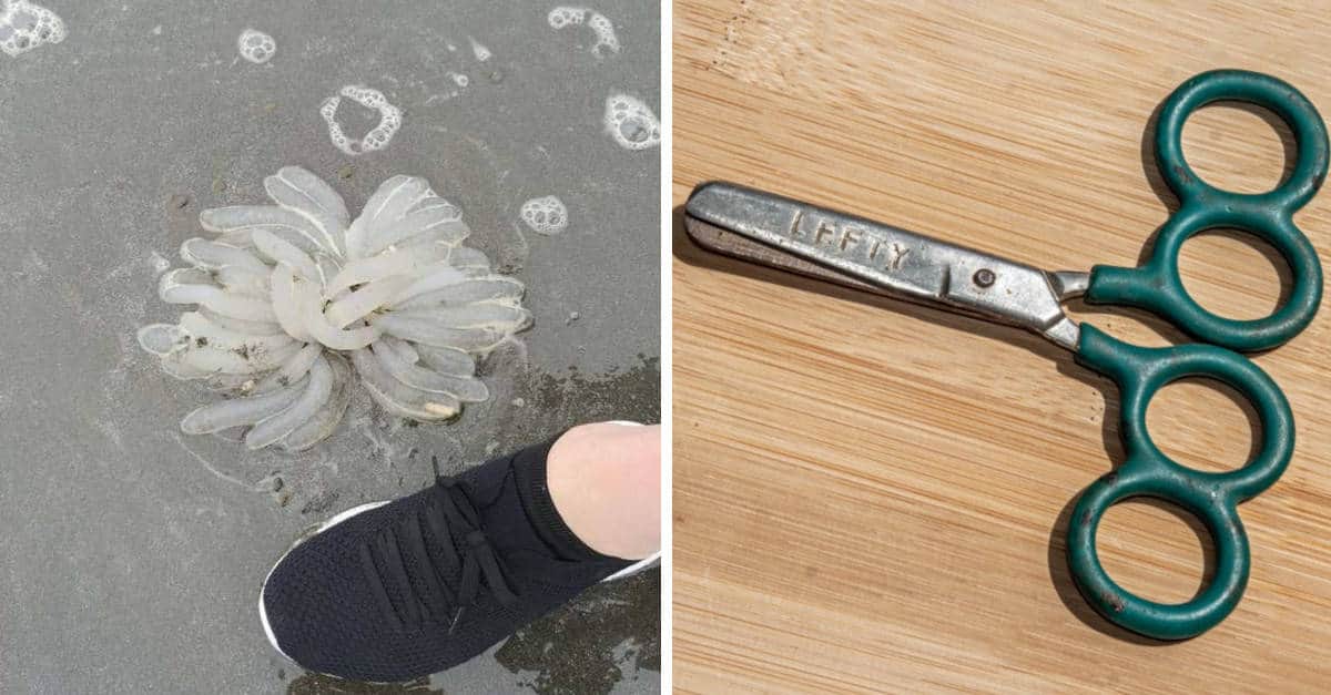 17 Foto che hanno bisogno proprio di una spiegazione