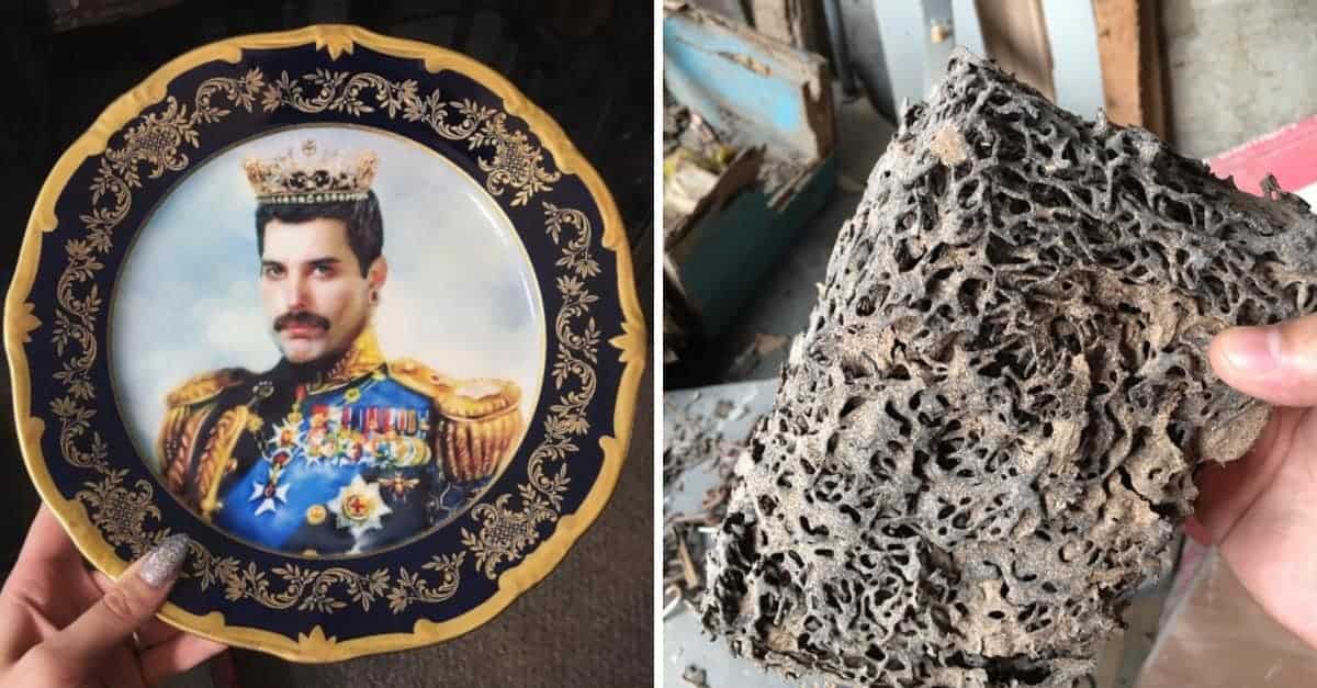 16 persone che hanno fatto grandi scoperte