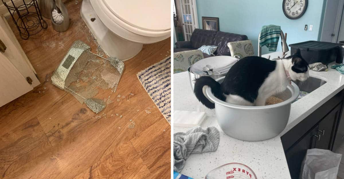 14 persone che sono state davvero sfortunate