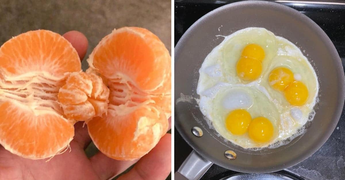 18 persone che hanno avuto un bel colpo di fortuna