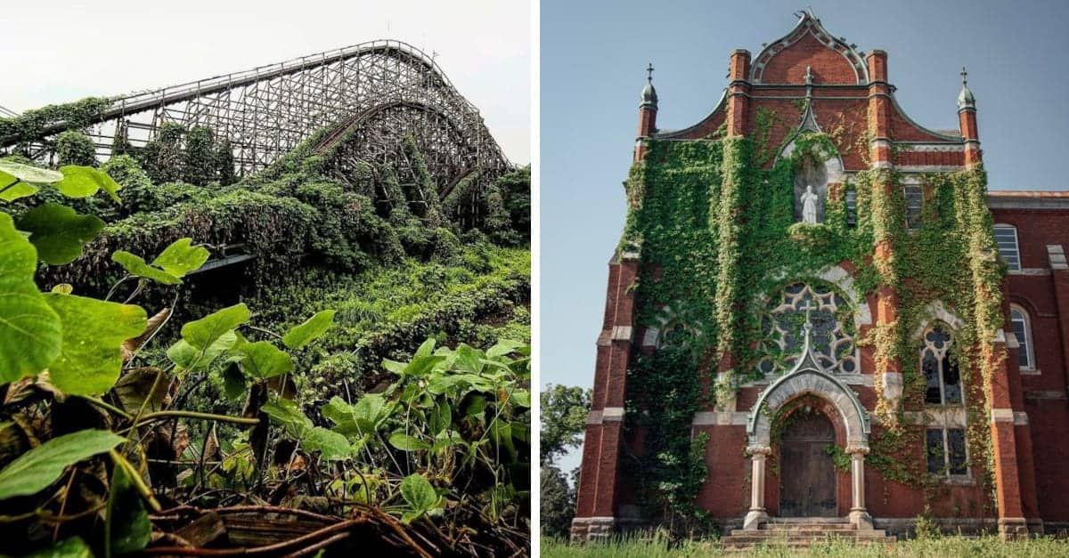 18 foto della natura che si riappropria dei propri spazi
