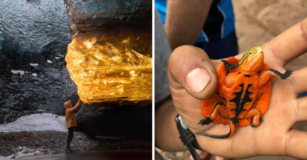 18 foto che mostrano che il nostro mondo è pieno di sorprese