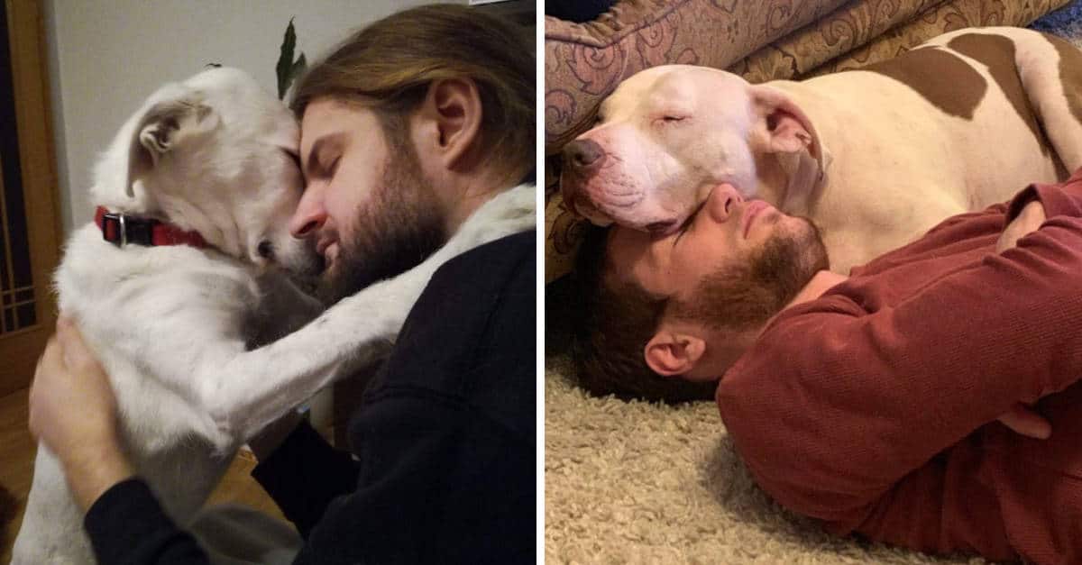 14 Foto che sono la dimostrazione che ogni famiglia ha bisogno di un animale domestico