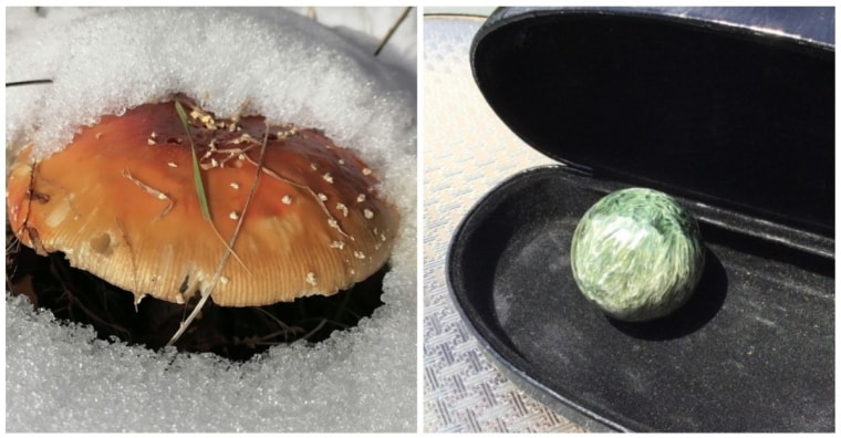 19 foto che non sono quel che sembrano