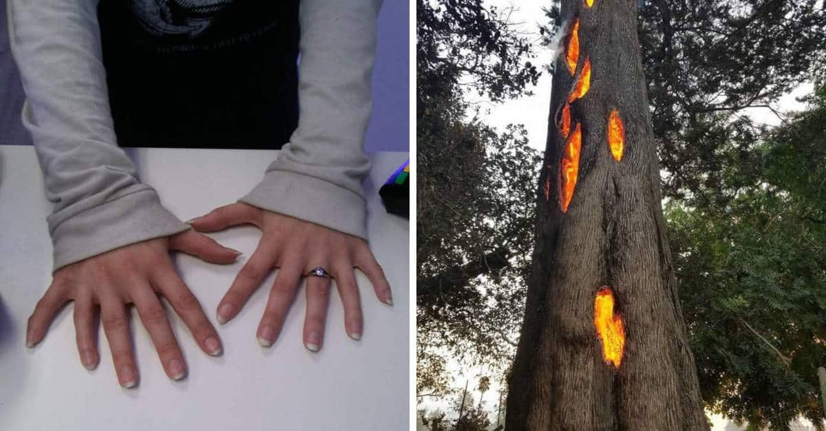 13 Foto di cose insolite, che probabilmente non hai visto prima