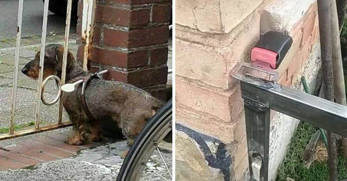 11 idee stupide che funzionano alla grande