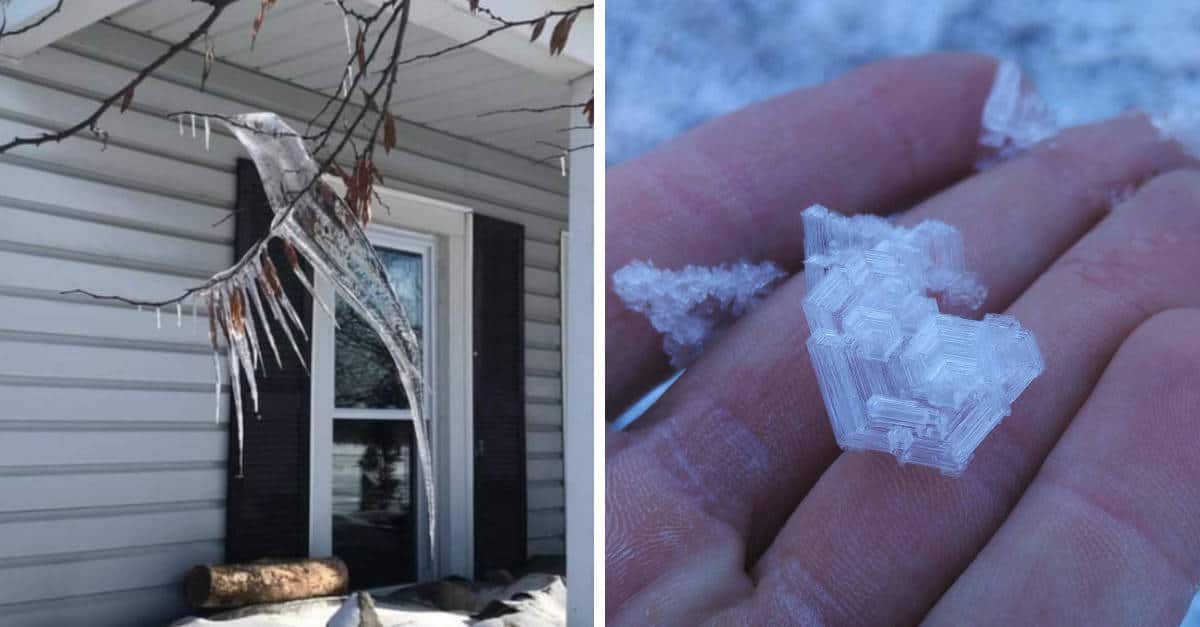 20 Foto che illustrano le opere della natura in inverno