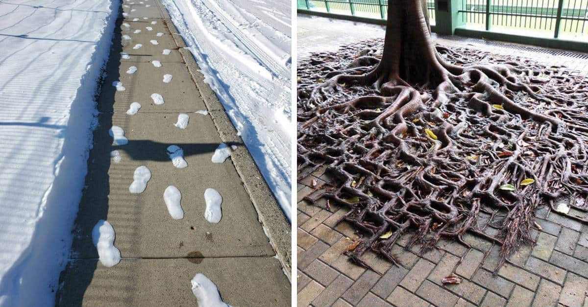 19 meraviglie naturali affascinanti e strane allo stesso tempo