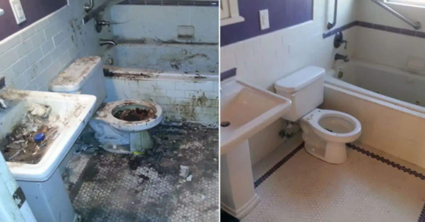 15 immagini prima e dopo una pulizia approfondita