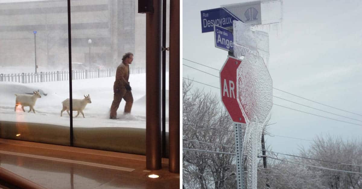 20 immagini divertenti della vita quotidiana in Canada