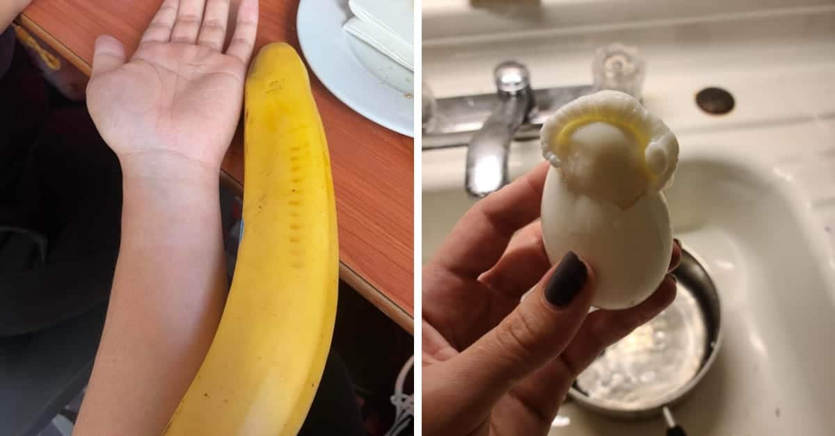 20 foto che sollevano molte domande