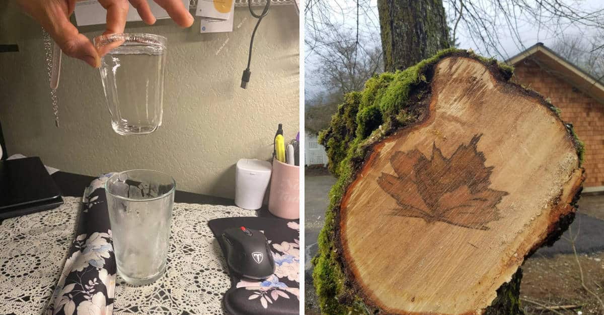 13 coincidenze della natura e cose che si sposano perfettamente