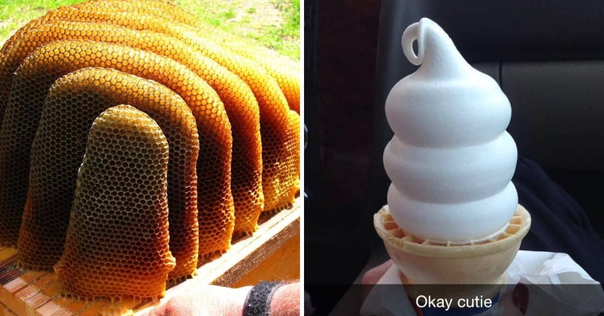 19 foto che sono davvero vicine alla perfezione