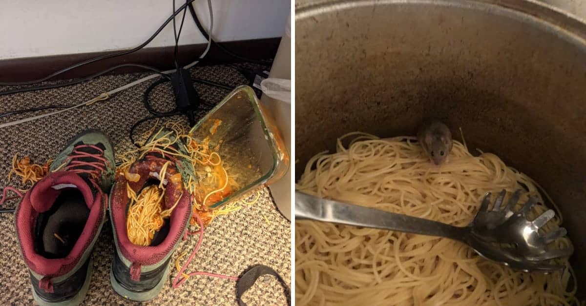 15 persone davvero sfortunate