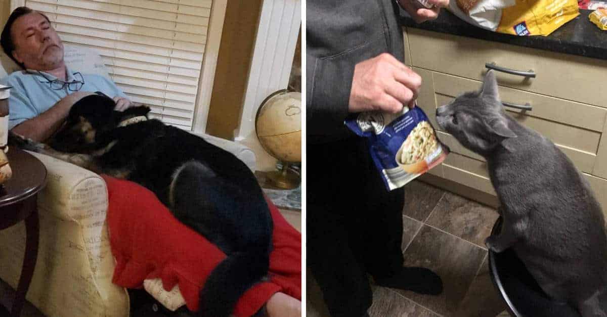 15 persone che all’inizio non volevano animali